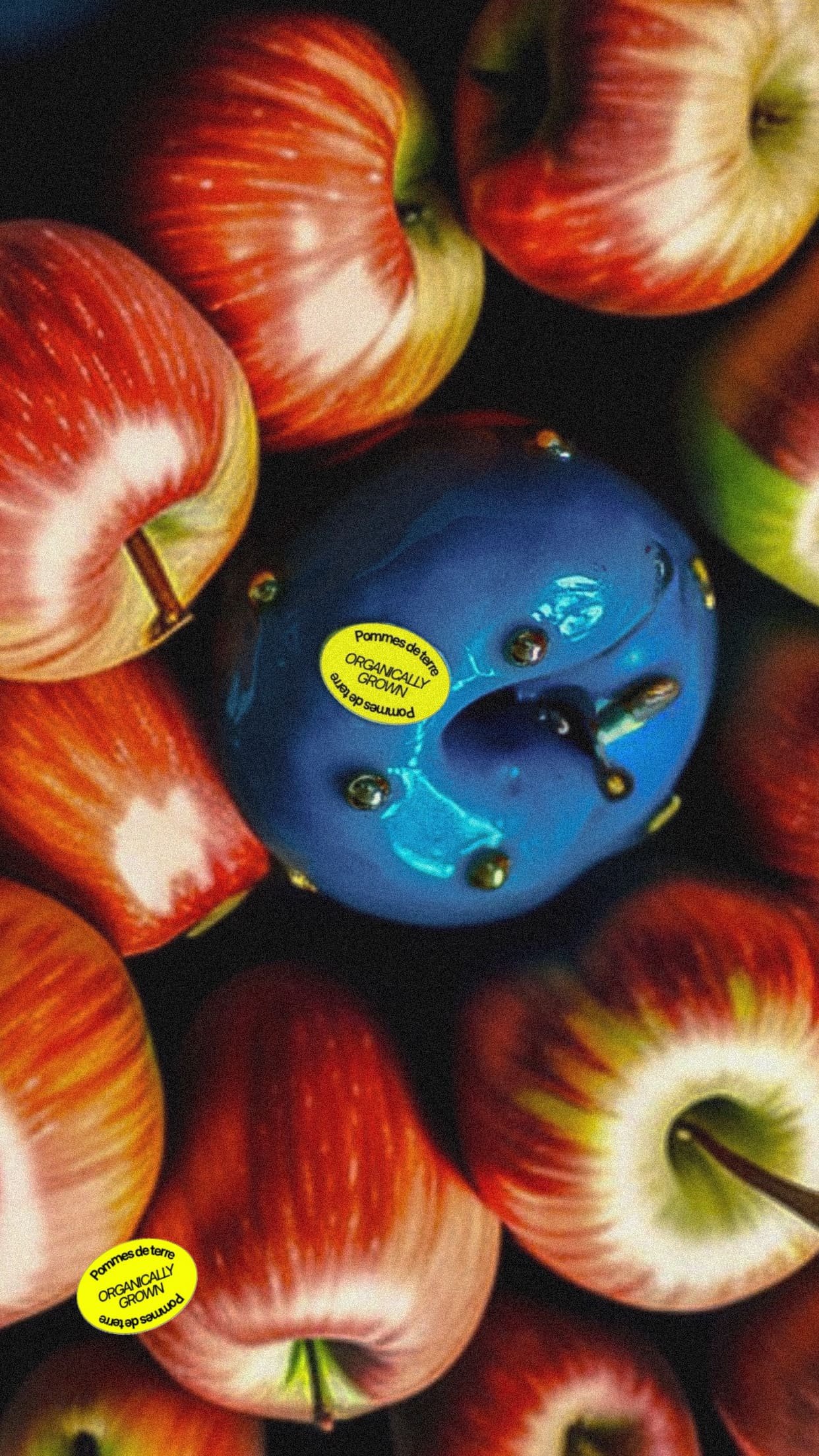 Manzanas con logo de producto