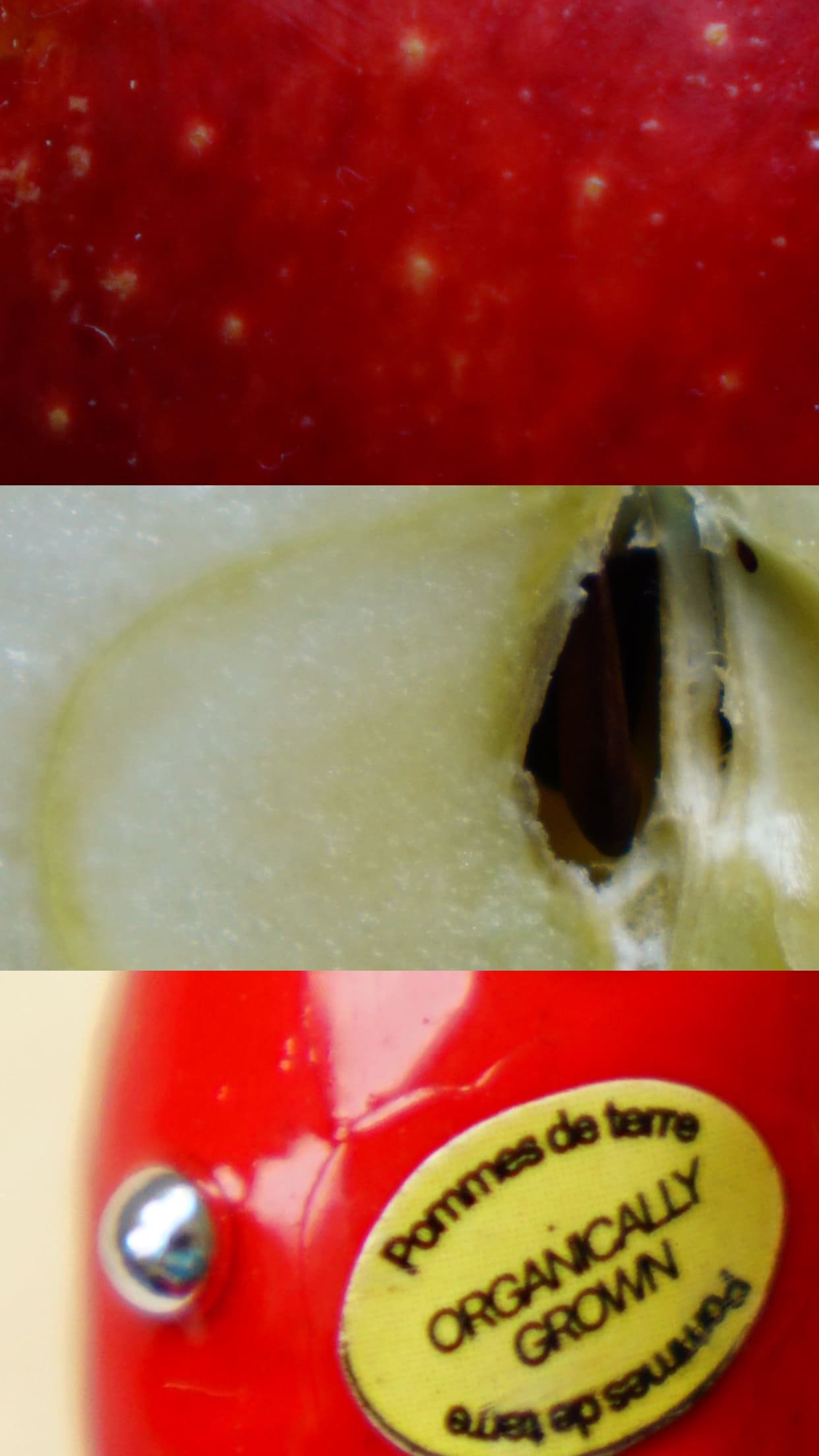 Detalles de manzanas y logo